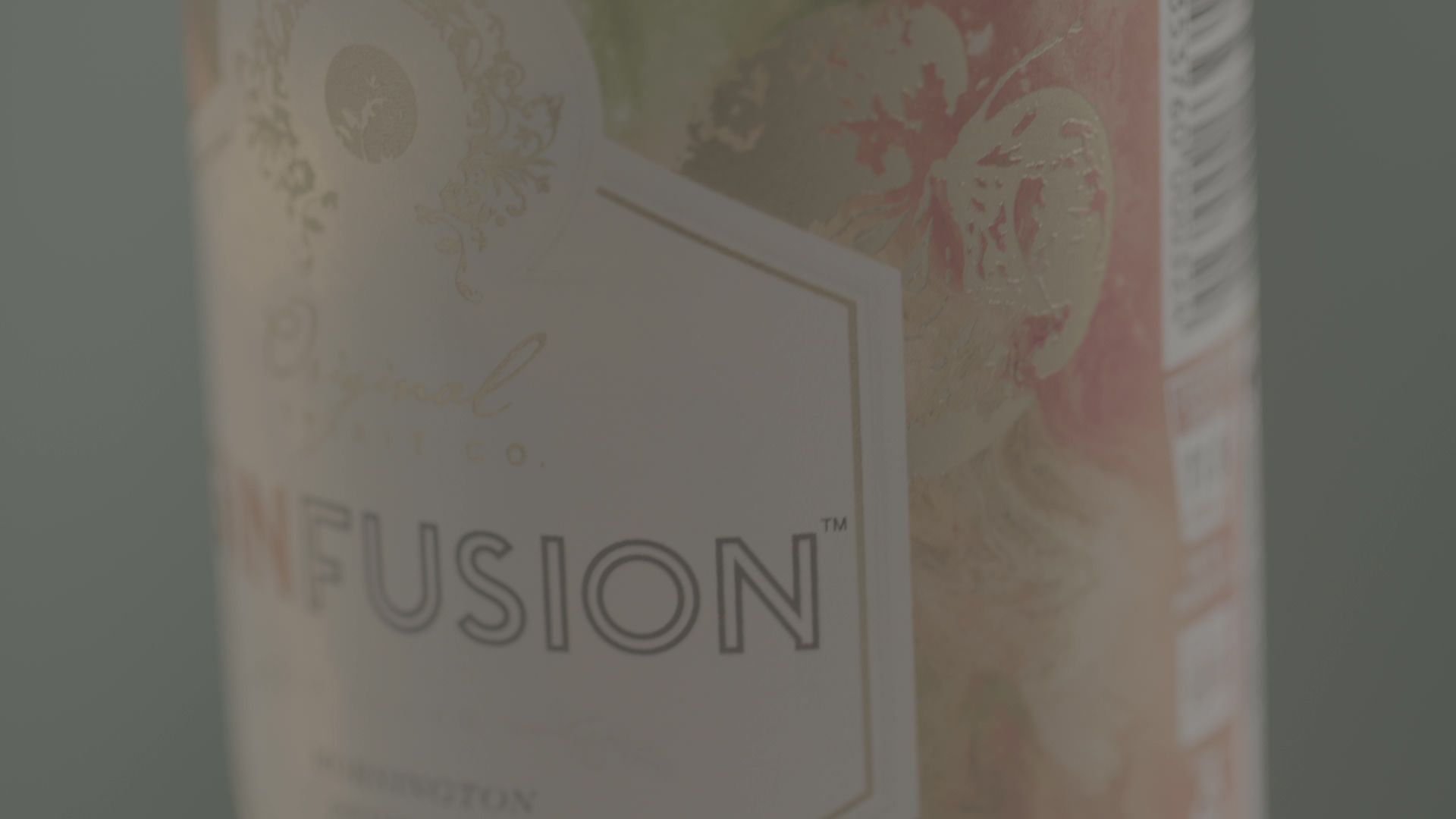 GinFusion before