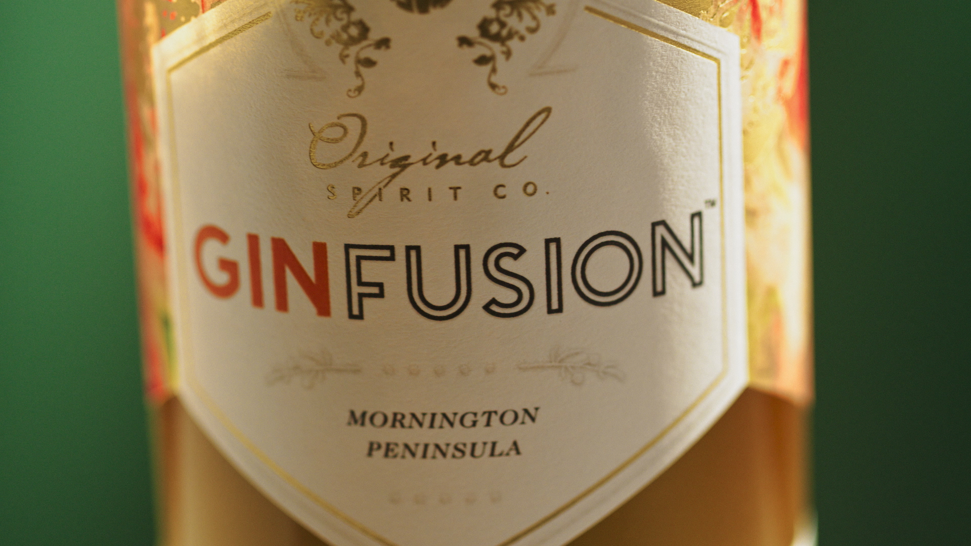 GinFusion after