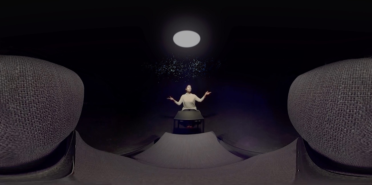 Immersive Video