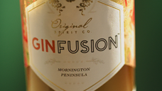 GinFusion
